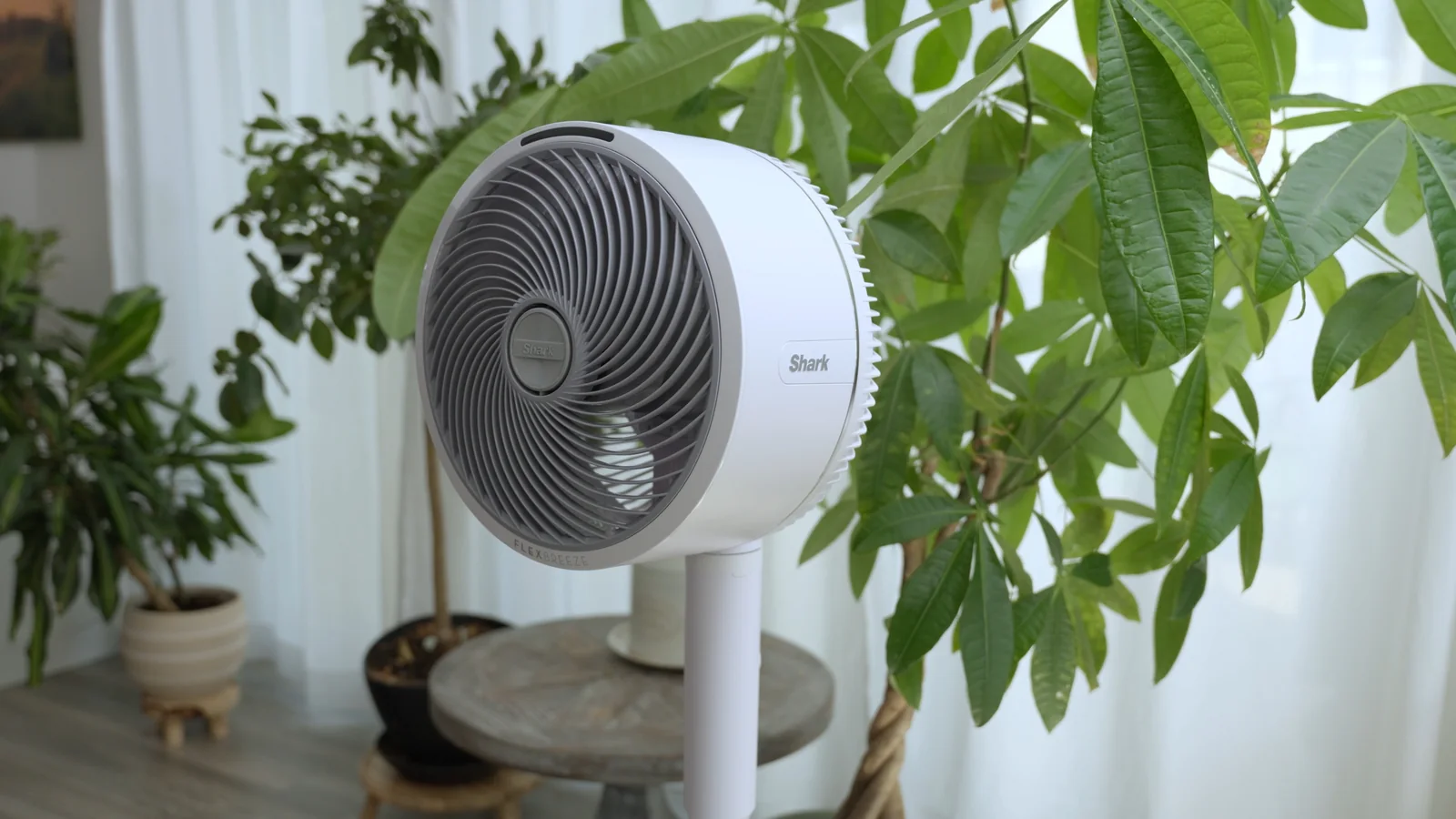 Smart Home & Klima – Shark FlexBreeze Still